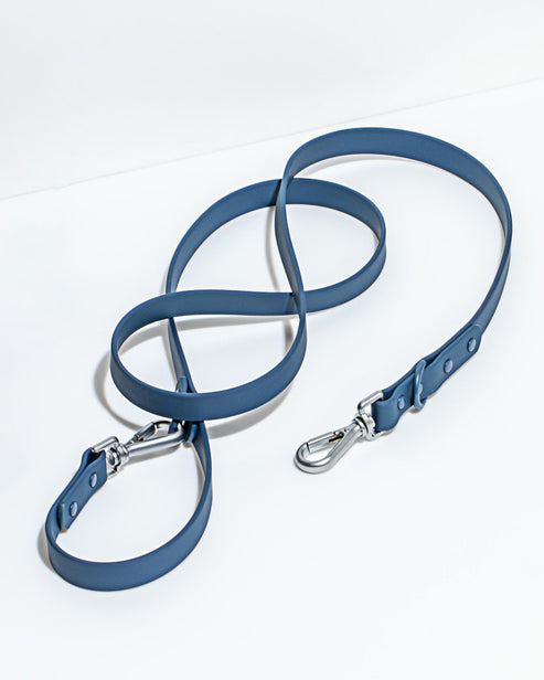 Leash
