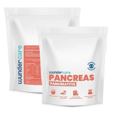 Pancreas Support