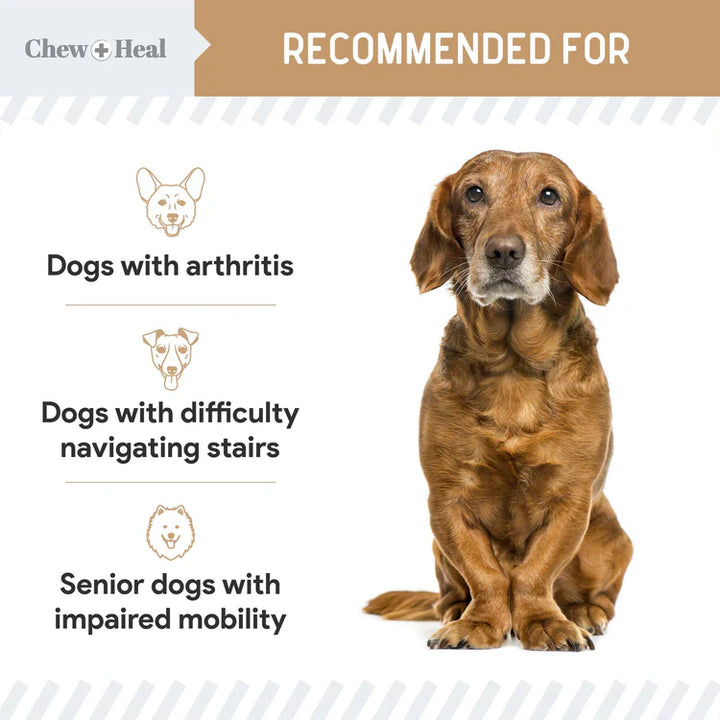 Hip & Joint Mobility Peanut Butter Flavored Soft Chew Senior Dog Supplement Regular price