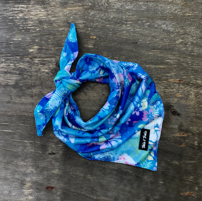 Cooling Dog Bandana