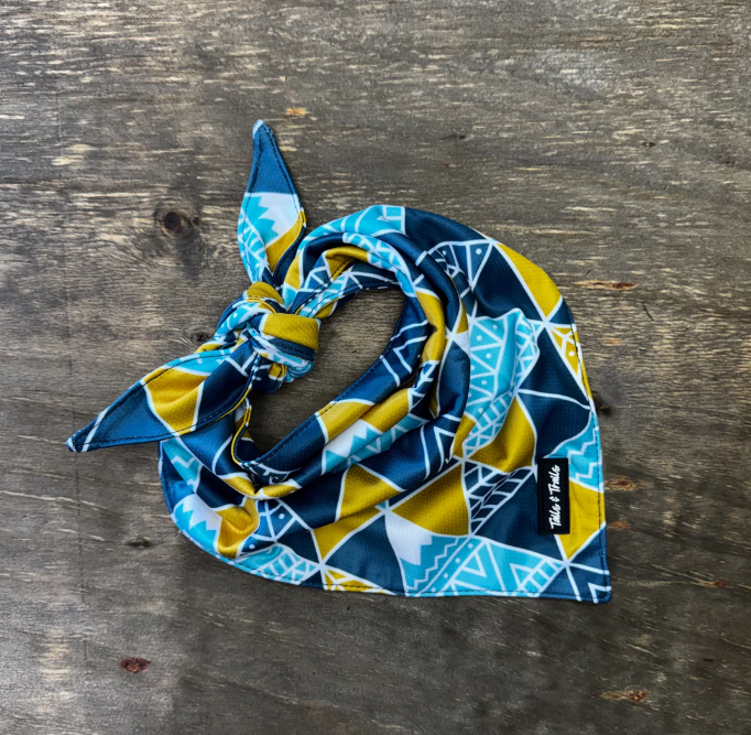 Cooling Dog Bandana