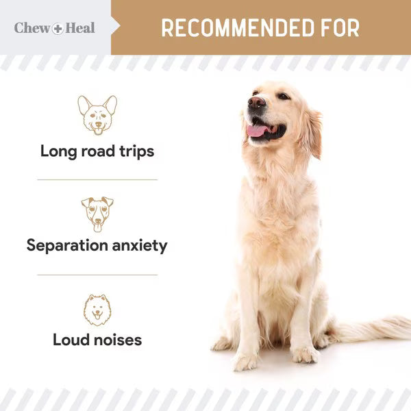 Chew + Heal Anxiety + Stress Peanut Butter Flavored Soft Chew Calming Dog Supplement 30 count