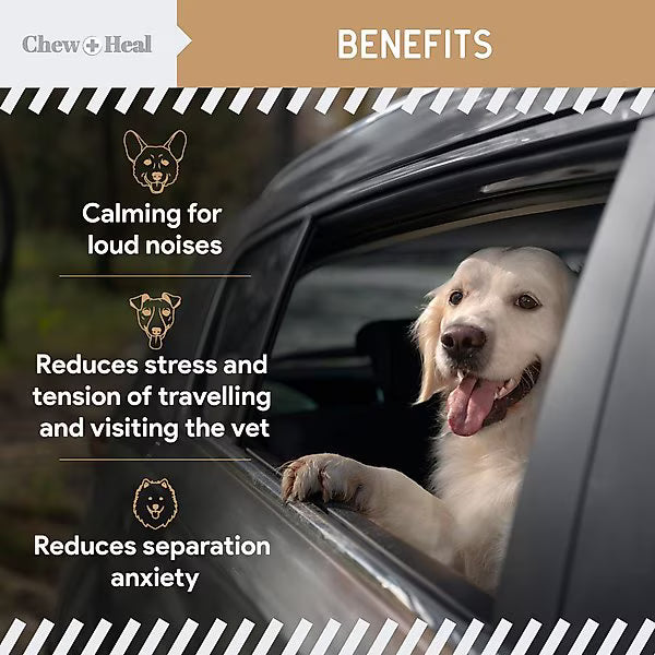 Chew + Heal Anxiety + Stress Peanut Butter Flavored Soft Chew Calming Dog Supplement 30 count