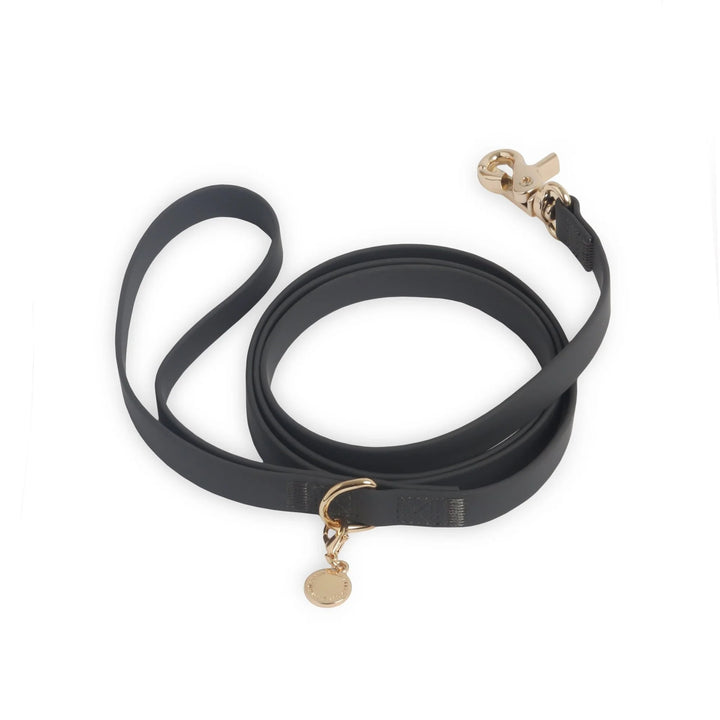 Waterproof Cloud Dog Leash (4 feet)